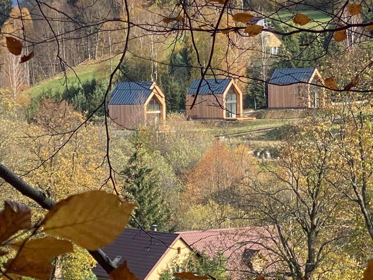 Domki Pod Lasem - Domek Brzozowy Stronie Śląskie Extérieur photo