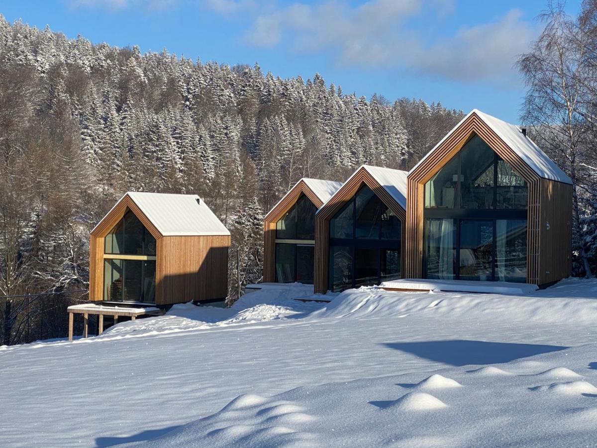 Domki Pod Lasem - Domek Brzozowy Stronie Śląskie Extérieur photo