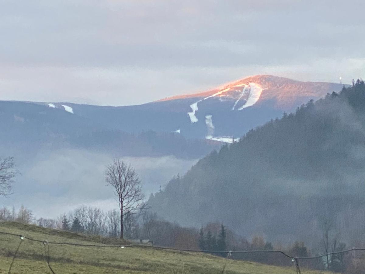 Domki Pod Lasem - Domek Brzozowy Stronie Śląskie Extérieur photo