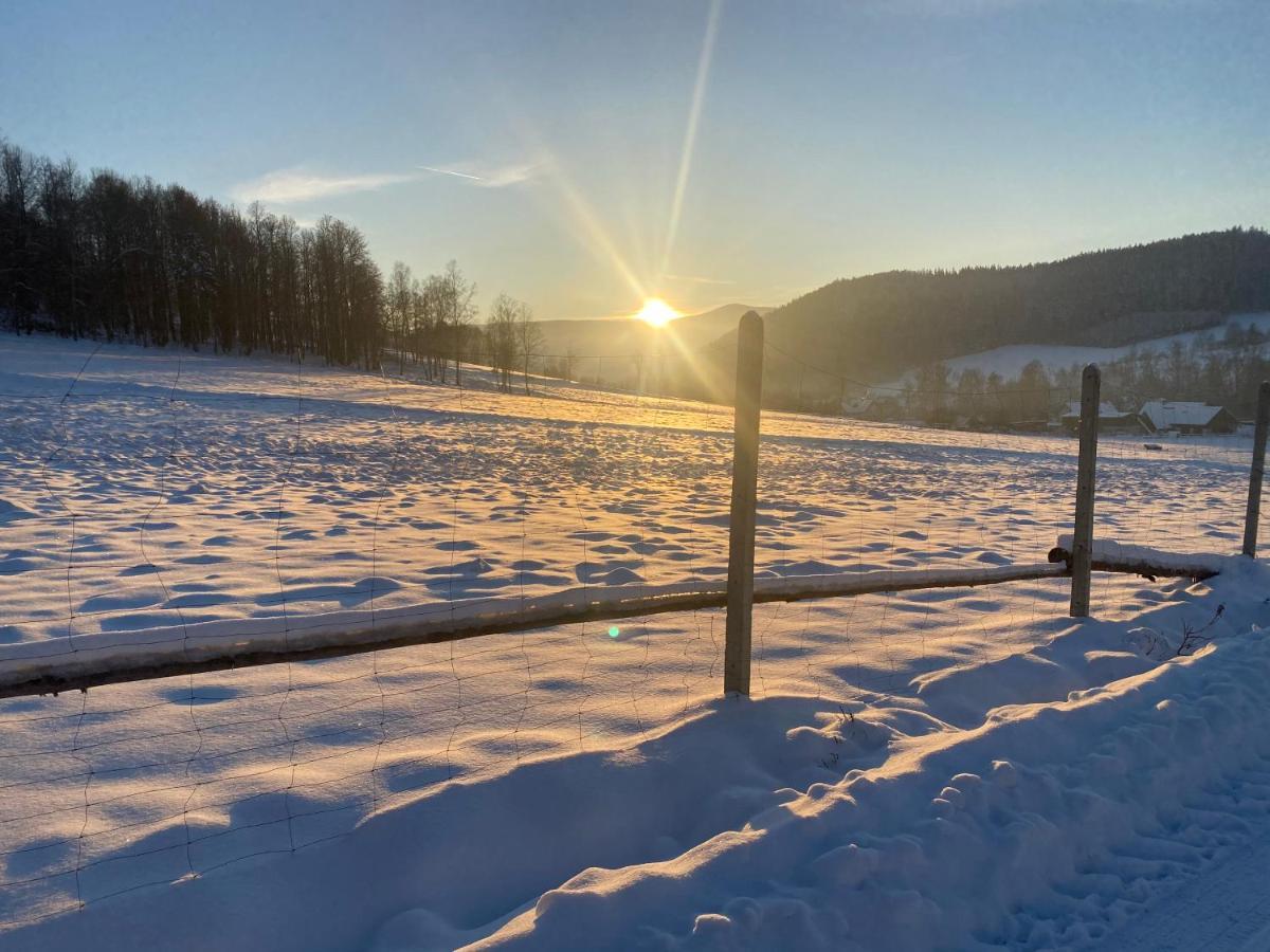 Domki Pod Lasem - Domek Brzozowy Stronie Śląskie Extérieur photo