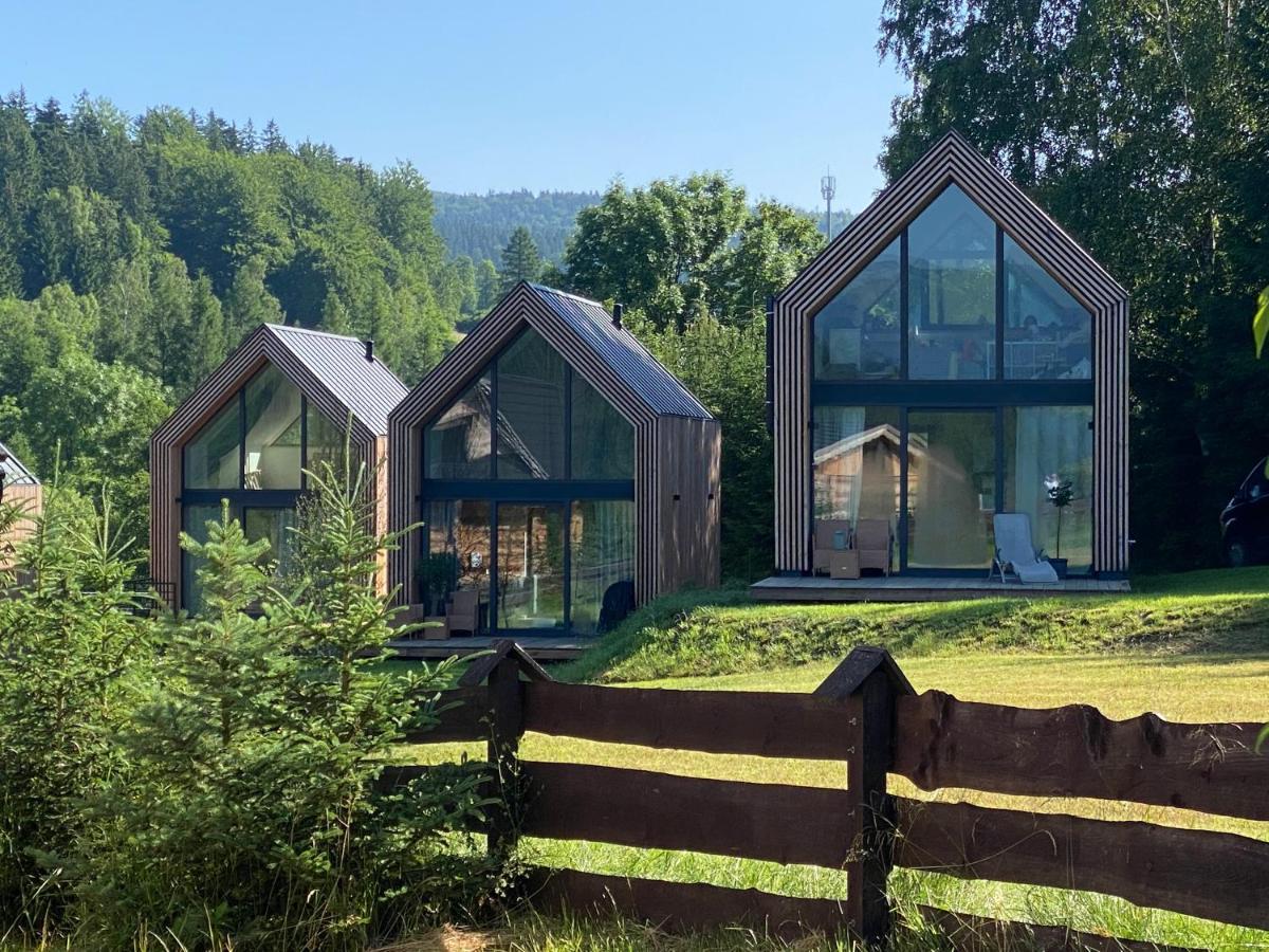 Domki Pod Lasem - Domek Brzozowy Stronie Śląskie Extérieur photo
