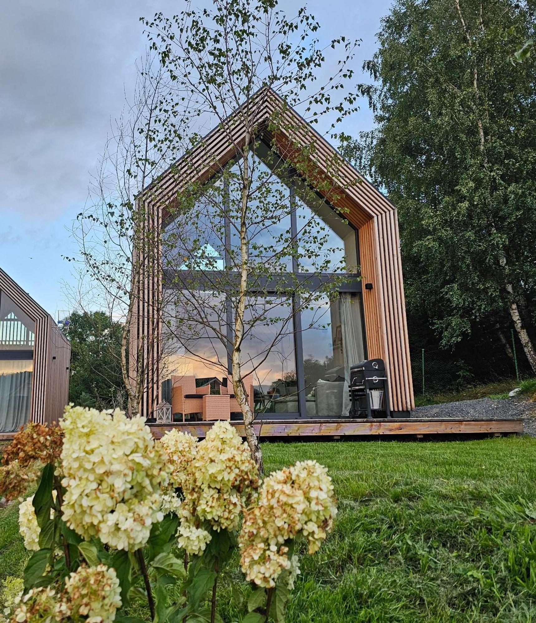 Domki Pod Lasem - Domek Brzozowy Stronie Śląskie Extérieur photo