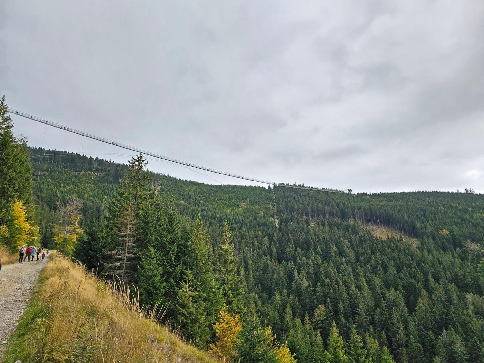 Domki Pod Lasem - Domek Brzozowy Stronie Śląskie Extérieur photo