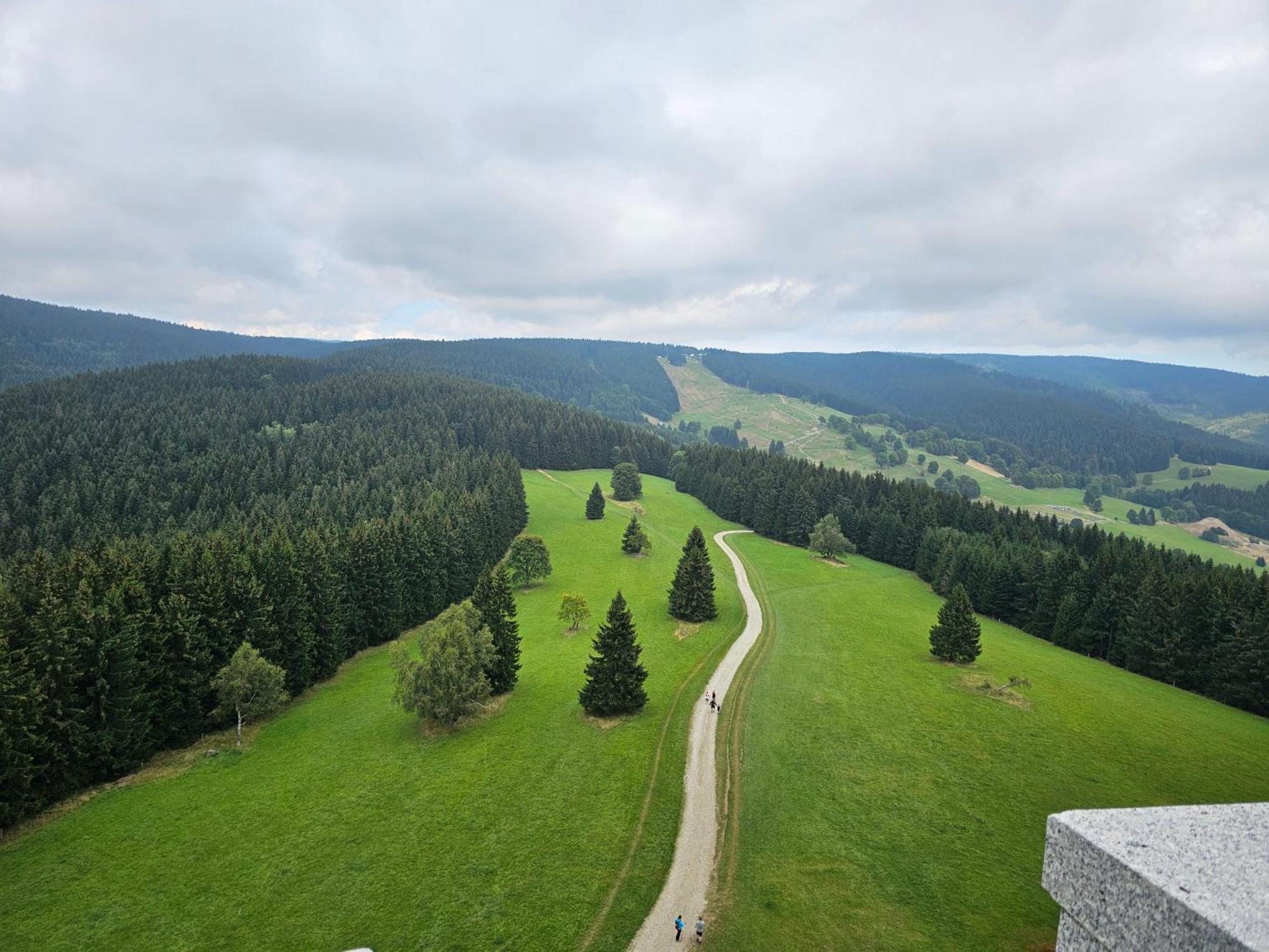 Domki Pod Lasem - Domek Brzozowy Stronie Śląskie Extérieur photo