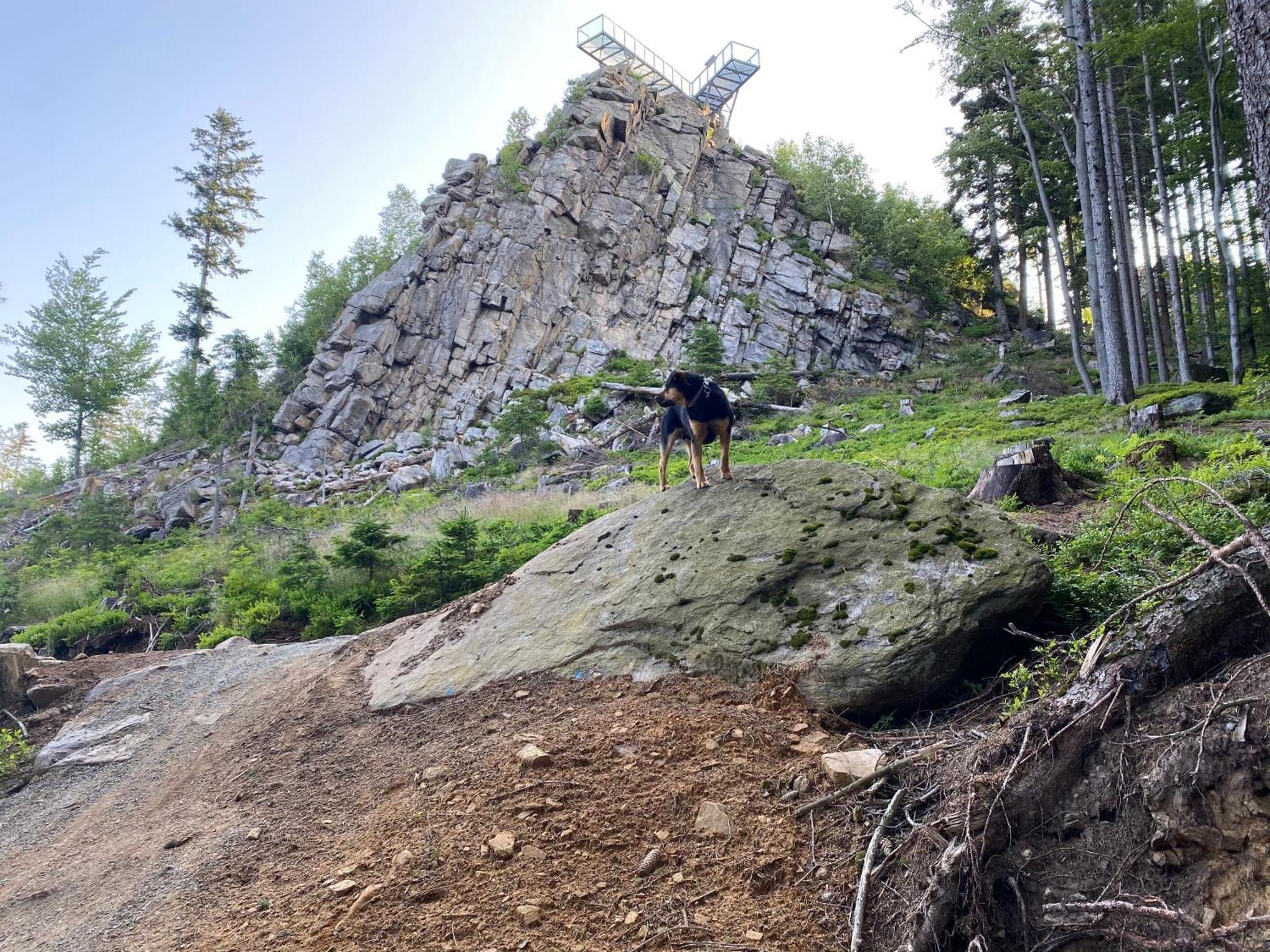 Domki Pod Lasem - Domek Brzozowy Stronie Śląskie Extérieur photo